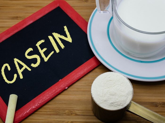 Casein protein powder, milk in a cup and saucer, chalk, and a small blackboard with casein written on it.
