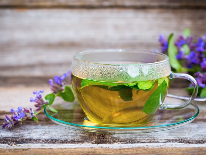 A close-up shot of catnip tea