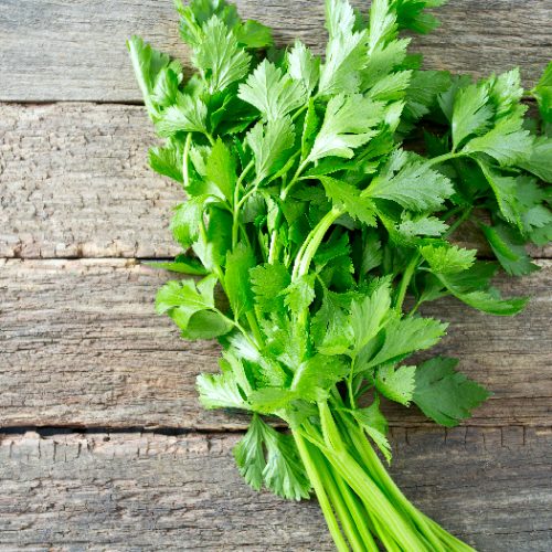 Fresh celery leaves on a wooden surface