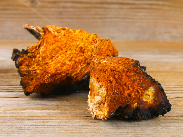 Chaga mushrooms on a wooden floor