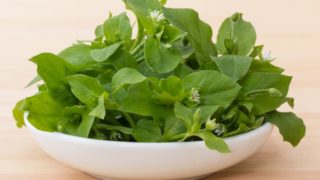 Chickweed leaves in a white bowl on a table