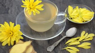 A close-up shot of chrysanthemum tea, next to the flowers, ginger slices and a spoon, which are kept atop a grey platform