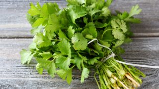 A bunch of cilantro