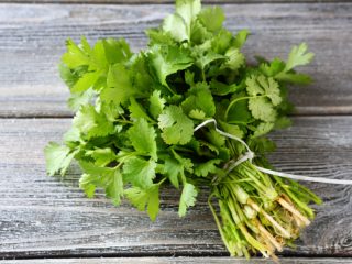 12 Amazing Benefits Of Cilantro Or Coriander Organic Facts