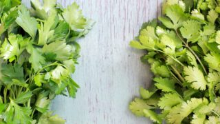 An image of cilantro vs parsley