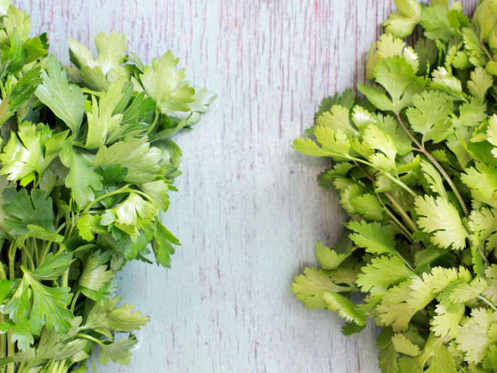 coriander vs parsley