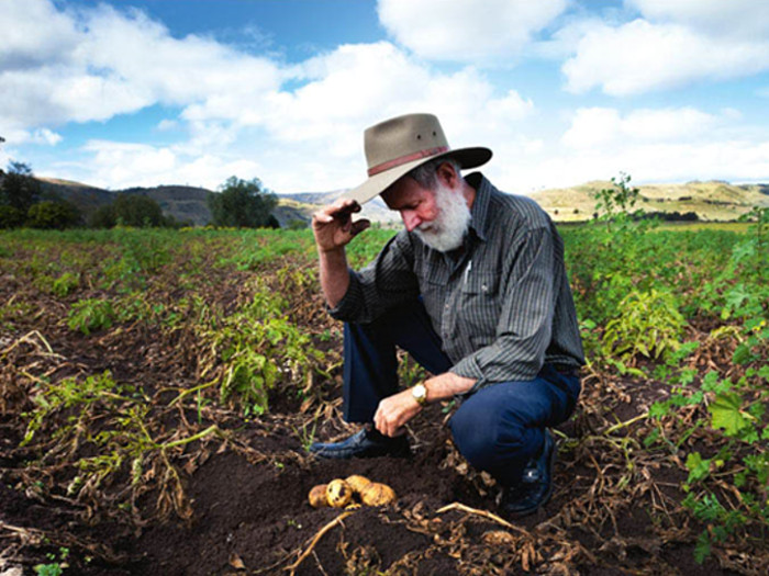 A farmer kneeling down and looking at his potato produce