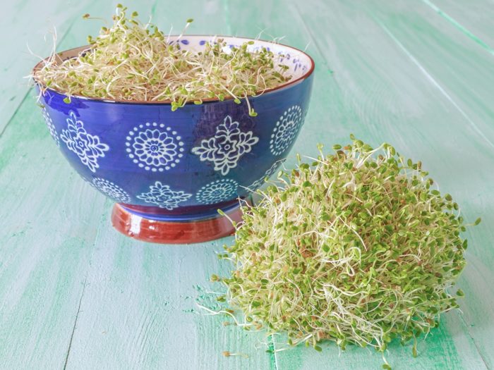 Clover sprouts in a traditional Chinese bowl and on a blue counter