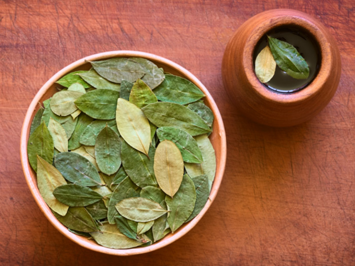 Coca leaves in a bowl and an earthen pot on an orange table