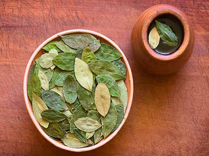 Coca leaves in a plate and coca tea