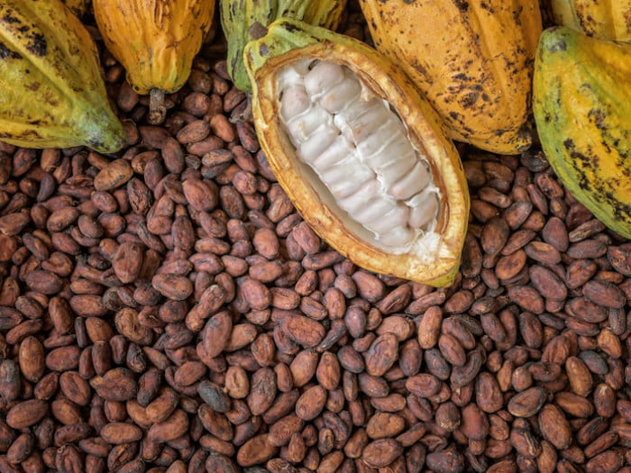Finding Customers With cocoa beans Part A