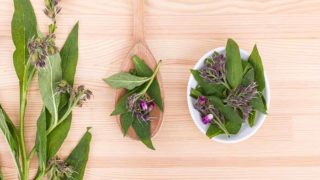 Flatline picture of comfrey leaves in a bowl, a wooden spoon with a twig placed on a wooden surface