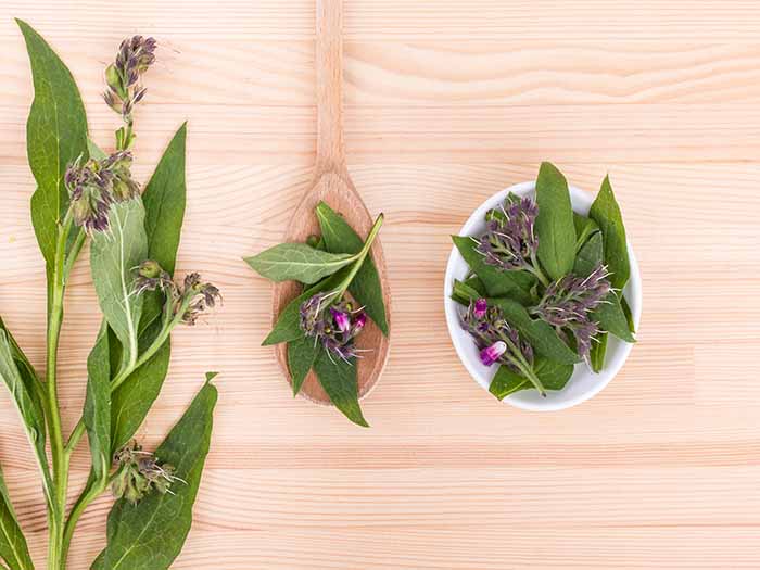 Flatline picture of comfrey leaves in a bowl, a wooden spoon with a twig placed on a wooden surface