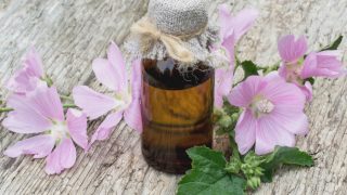 A bottle of common mallow essential oil with the mallow flowers placed around