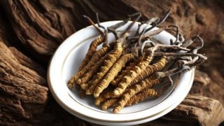 A white plate of cordyceps sinensis on a wood log