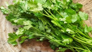 A bunch of fresh coriander leaves on a wooden table