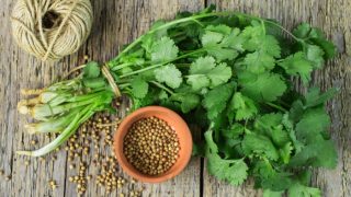 A bunch fresh cilantro, and coriander seeds on a wooden table