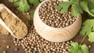 A wooden bowl and spoon filled with coriander seeds and powder with fresh coriander leaves on a wooden table