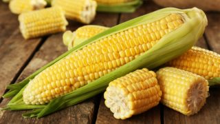 Sliced and fresh corn ears with leaves on a wooden table