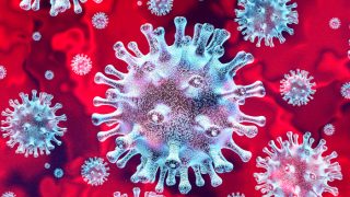 Graphic showing the coronavirus