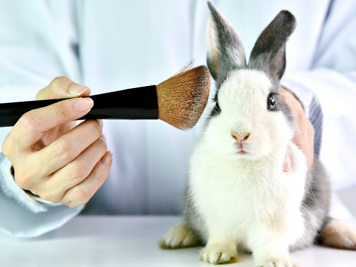 Cosmetics being tested on a bunny in a laboratory