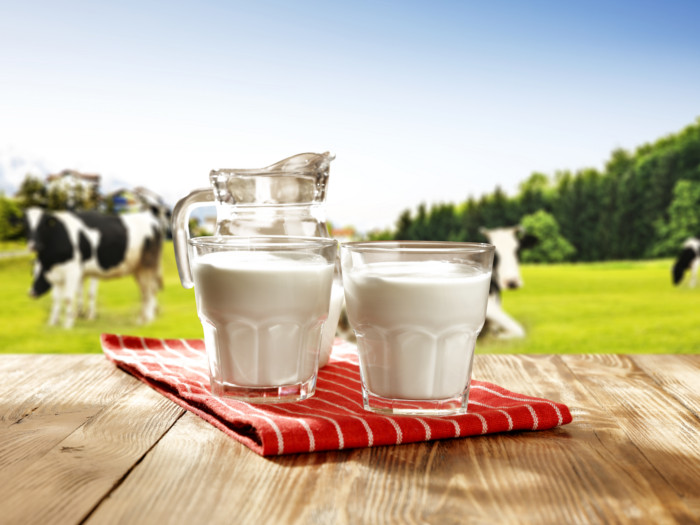  Un pot et 2 verres de lait de vache sur un chiffon rouge 