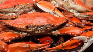 Close up of raw, fresh crabs on a wooden table
