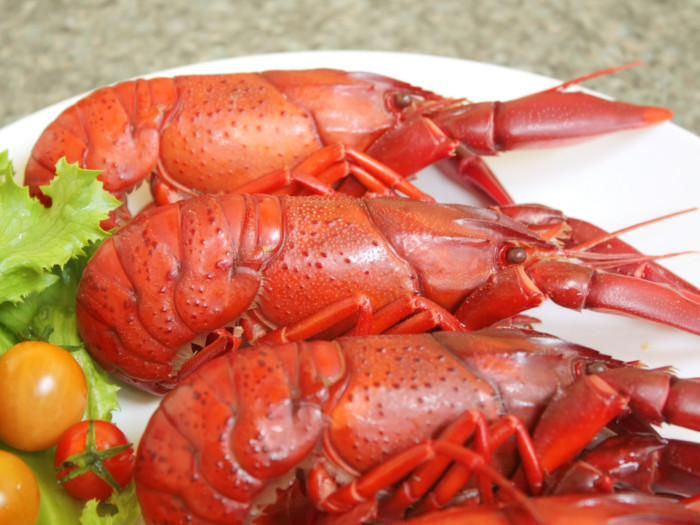 Crayfish on a white plate on a table counter