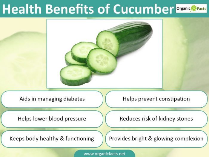 5 Wonderful Benefits Of Cucumber Oze Marketing Memo Plus Gold
