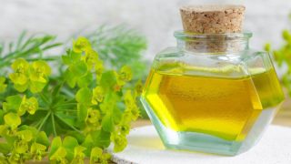 11 Incredible Benefits of Cypress Essential Oil