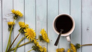 Dandelion coffee in a cup with yellow dandelions next to it