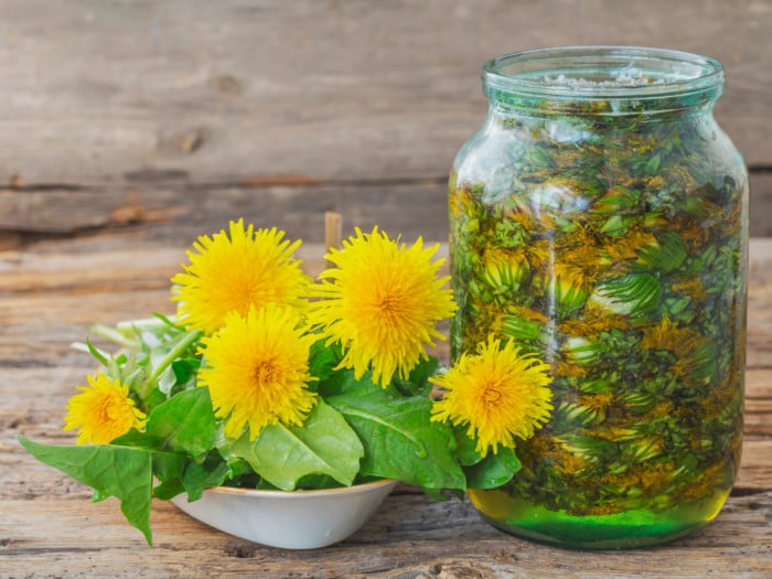 A jar filled with dandelion flowers and water and a bowl of fresh dandelion flowers with leaves