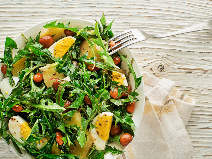 Close up of dandelion leaves, potato, beans and boiled eggs on white plate with a fork