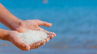 Palms filled with Dead Sea salt with the sea in the background