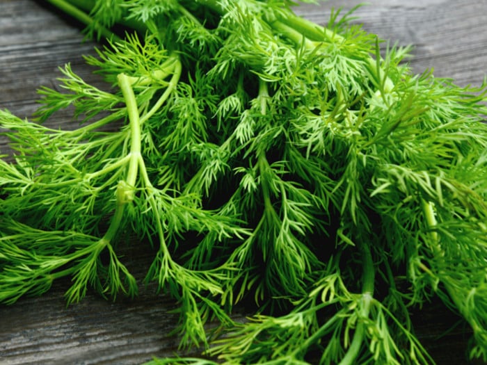 A bunch of fresh green dill leaves on a wooden table
