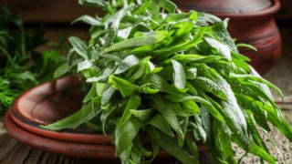 Close up of fresh raw green tarragon on a plate on a wooden table