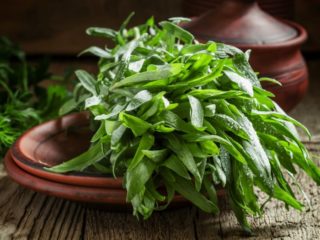 dill substitutes tarragon