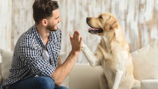 A man playing with his dog against a polished ivory background