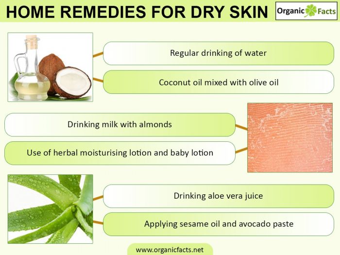 11 Effective Home Remedies for Dry Skin Organic Facts