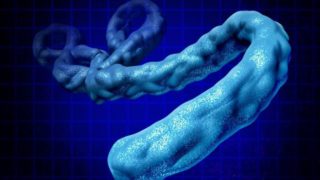 animated ebola virus representation
