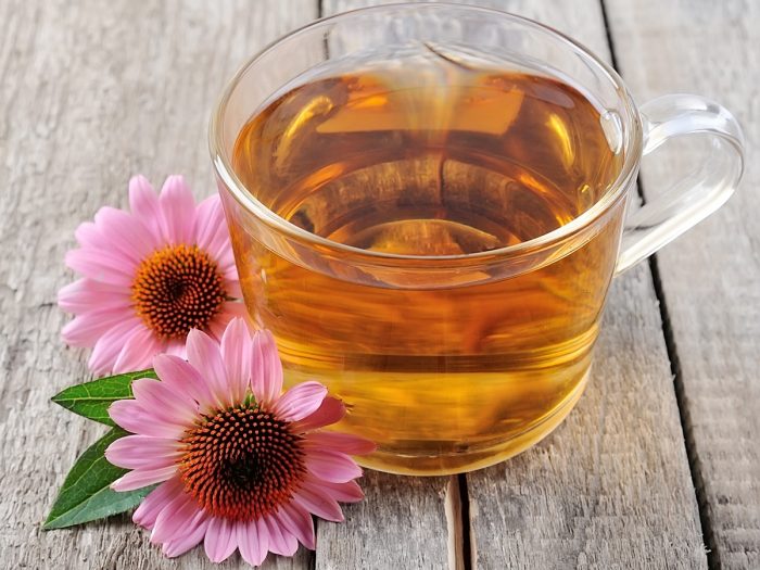 Echinacea tea in a glass cup next to echinacea flowers on a wooden counter