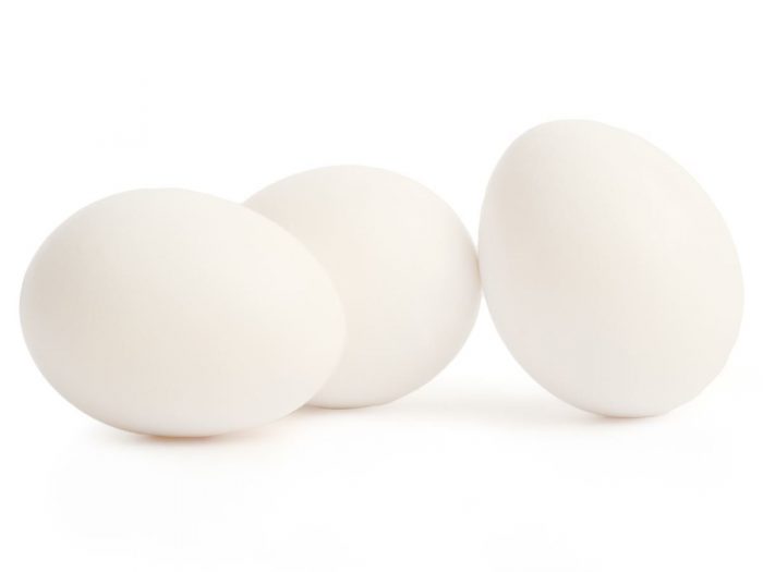 eggs