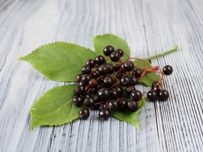 Fresh elderberries on a leaf on a wooden table