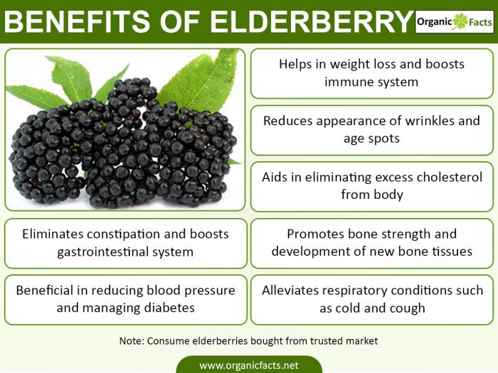 elderberriesinfo