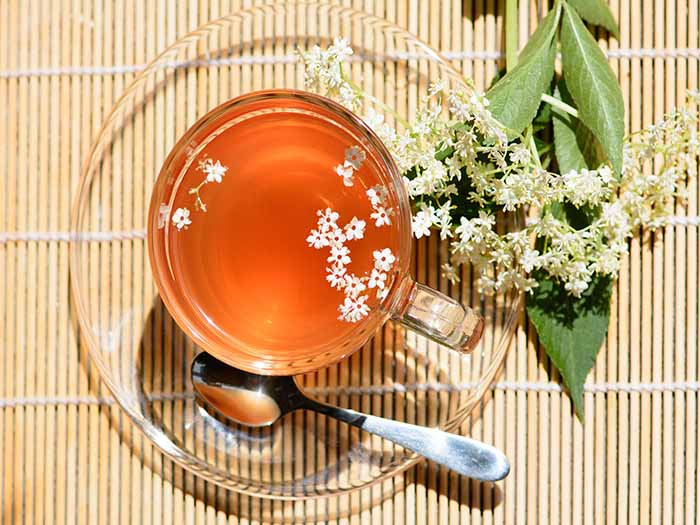 Flatline picture of a glass cup and saucer containing tea with elderflowers floating on top and placed on the saucer.