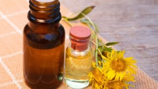 Two bottles of elecampane essential oil and an elecampane flower on a table