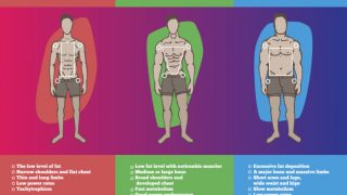 An illustration of three different body types