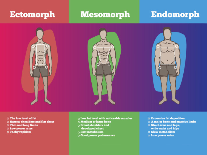 endomorph food