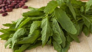 Close-up of fresh raw green epazote and kidney beans on a wooden table