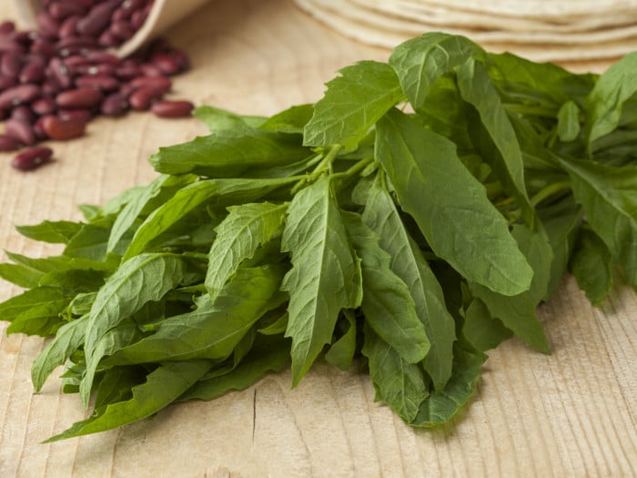 Mint leaves will kill hookworms